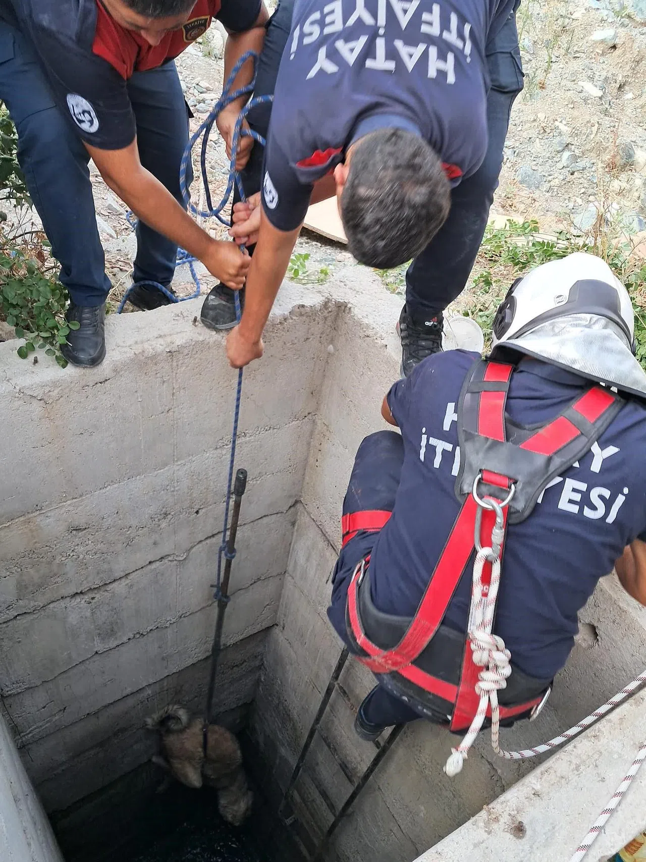 10 Metrelik Kuyuya Düşen Köpeği İtfaiye Kurtardı