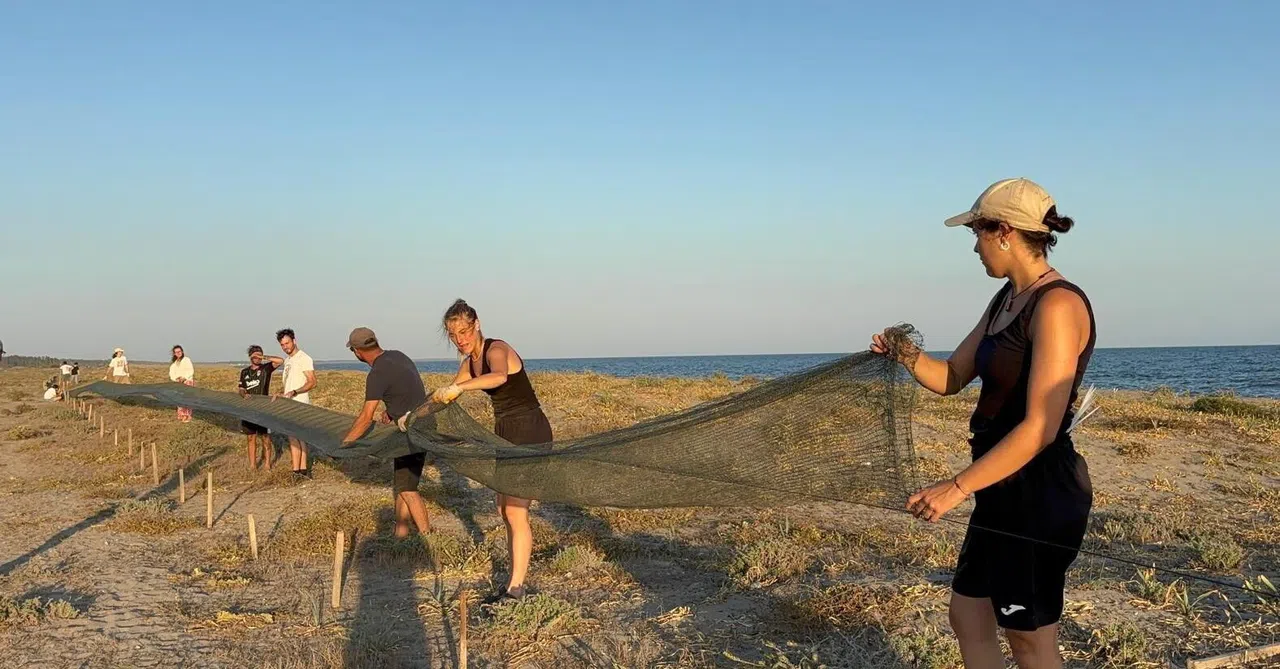 Deniz Kaplumbağaları İçin Umut Nöbeti: Gençler Sahilde Gönüllü