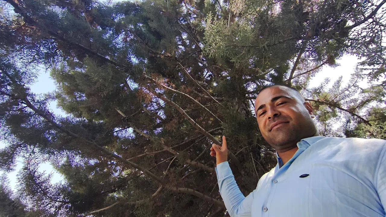 Gölgeye Oturdu, Üzerindeki Daldan Yılan Sarktı!