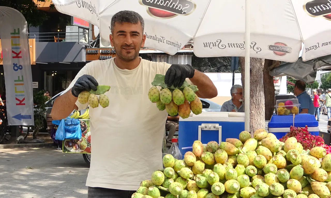 Doğada Kendiliğinden Yetişen Dikenli İncir Seyyar Tezgahlarda