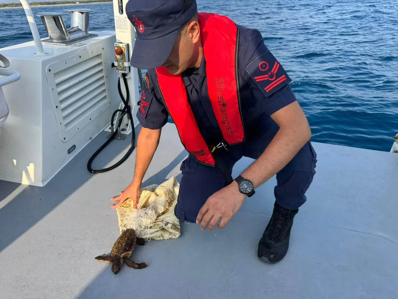 Denizde Çuvala Dolanmış Halde Bulunan Yeşil Deniz Kaplumbağası Kurtarıldı