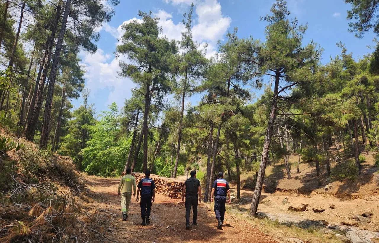 Ormanlara Sıkı Koruma