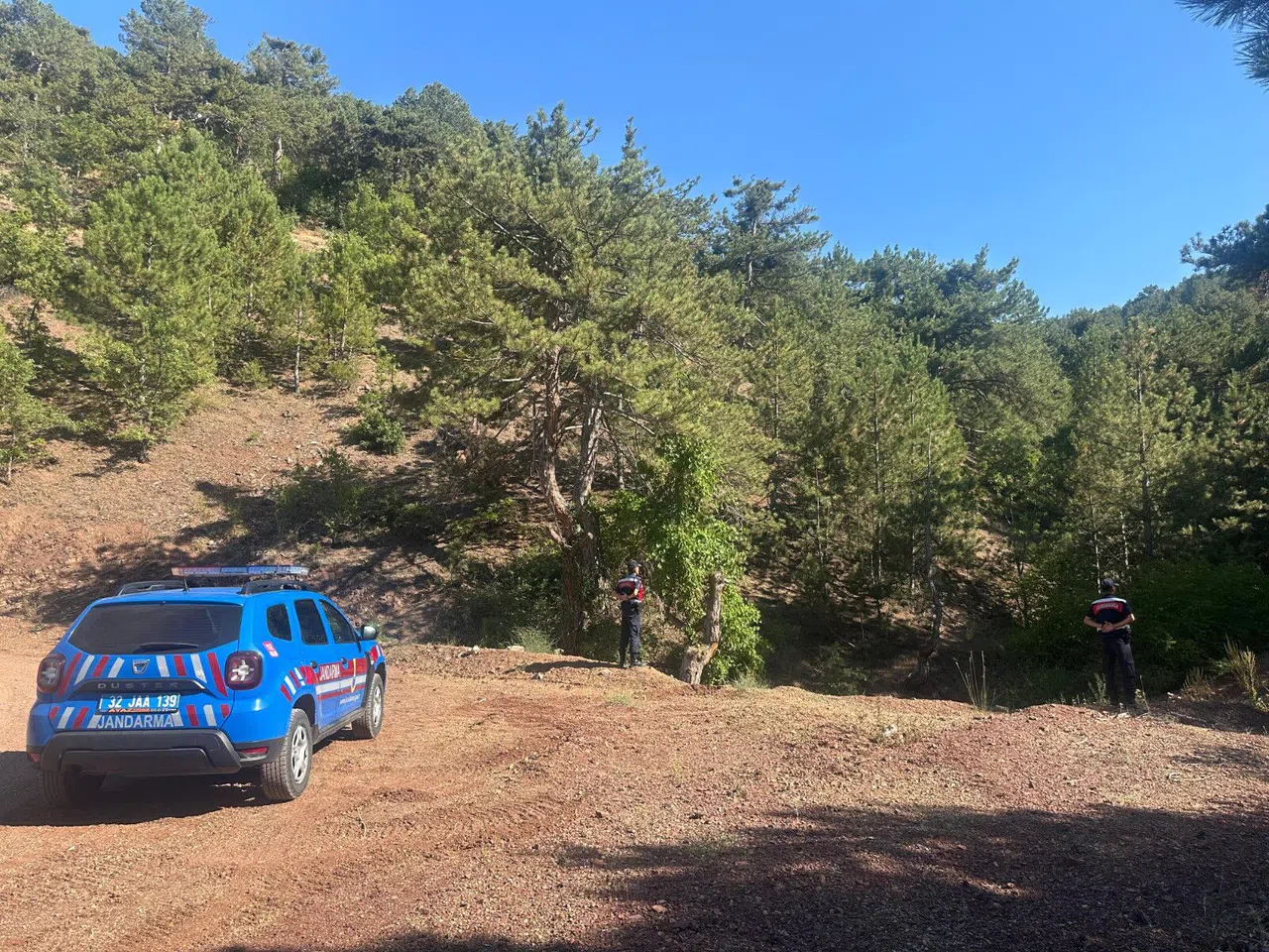 Ormanlık Alanlarda Sıkı Denetim