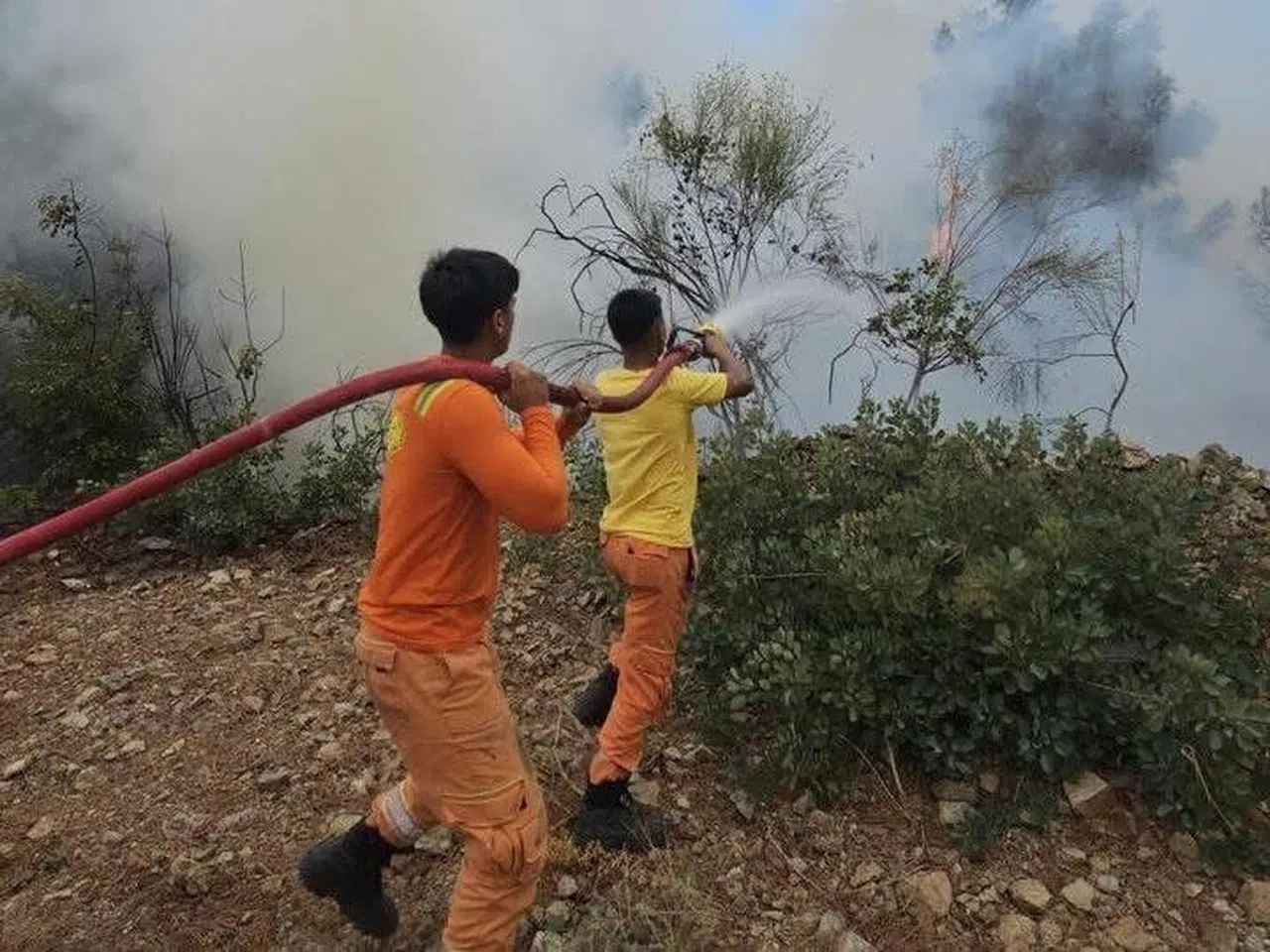 Orman Yangını Kısa Sürede Kontrol Altına Alındı