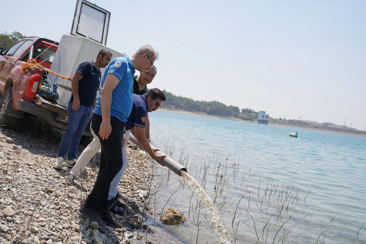 Yetişen 10 Milyon 500 Bin Yavru Sazan 12 İlde 129 Göl Ve Göletlere Bırakıldı