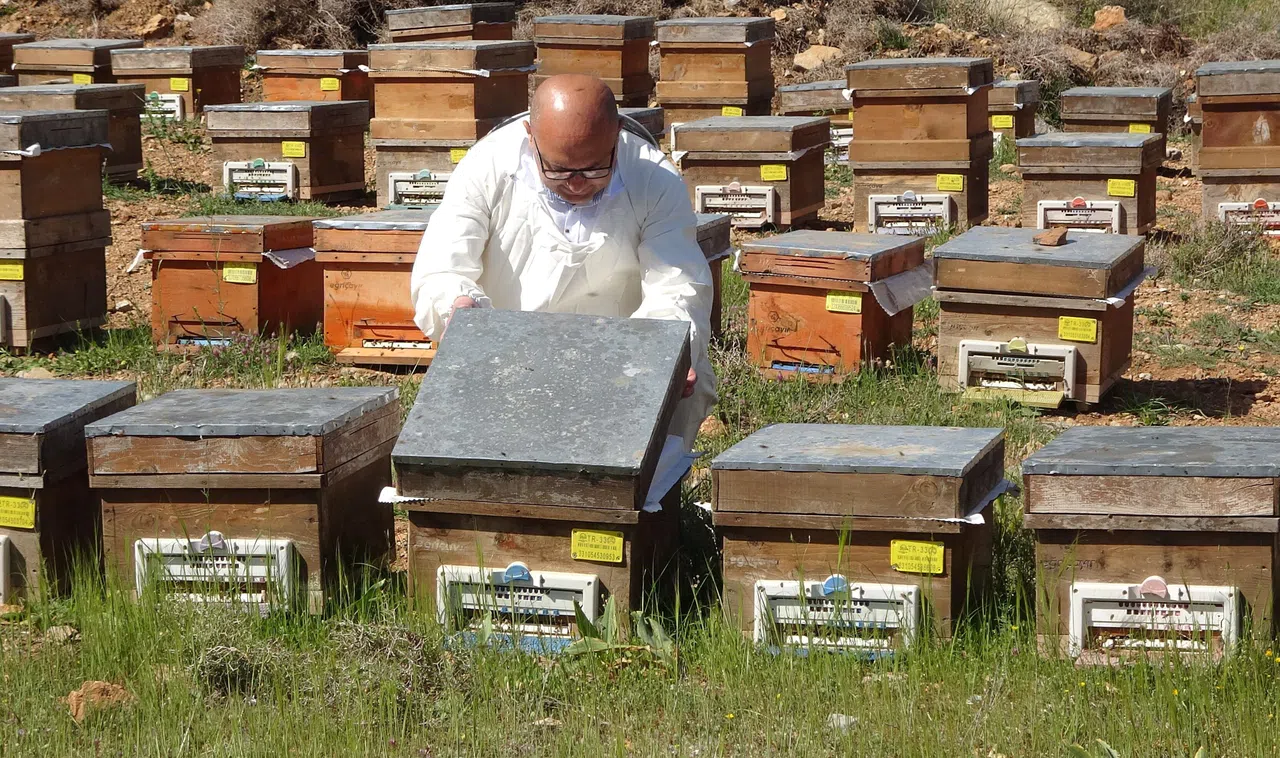 Şifanın Kod Adı: TA