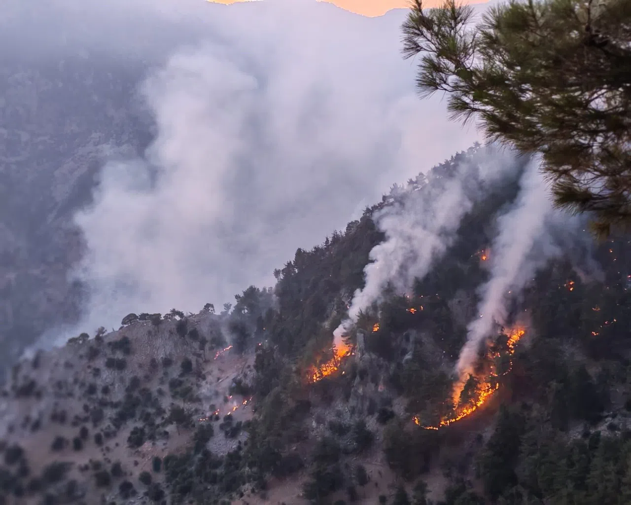 Orman Yangını Kısmen Kontrol Altında
