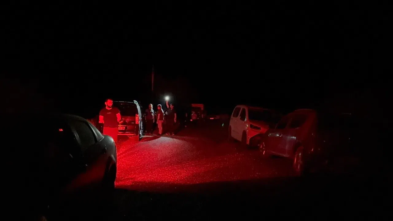 Yaban Keçileri Yangın Sebebiyle Doğal Yaşam Alanlarından Kaçarken Görüntülendi