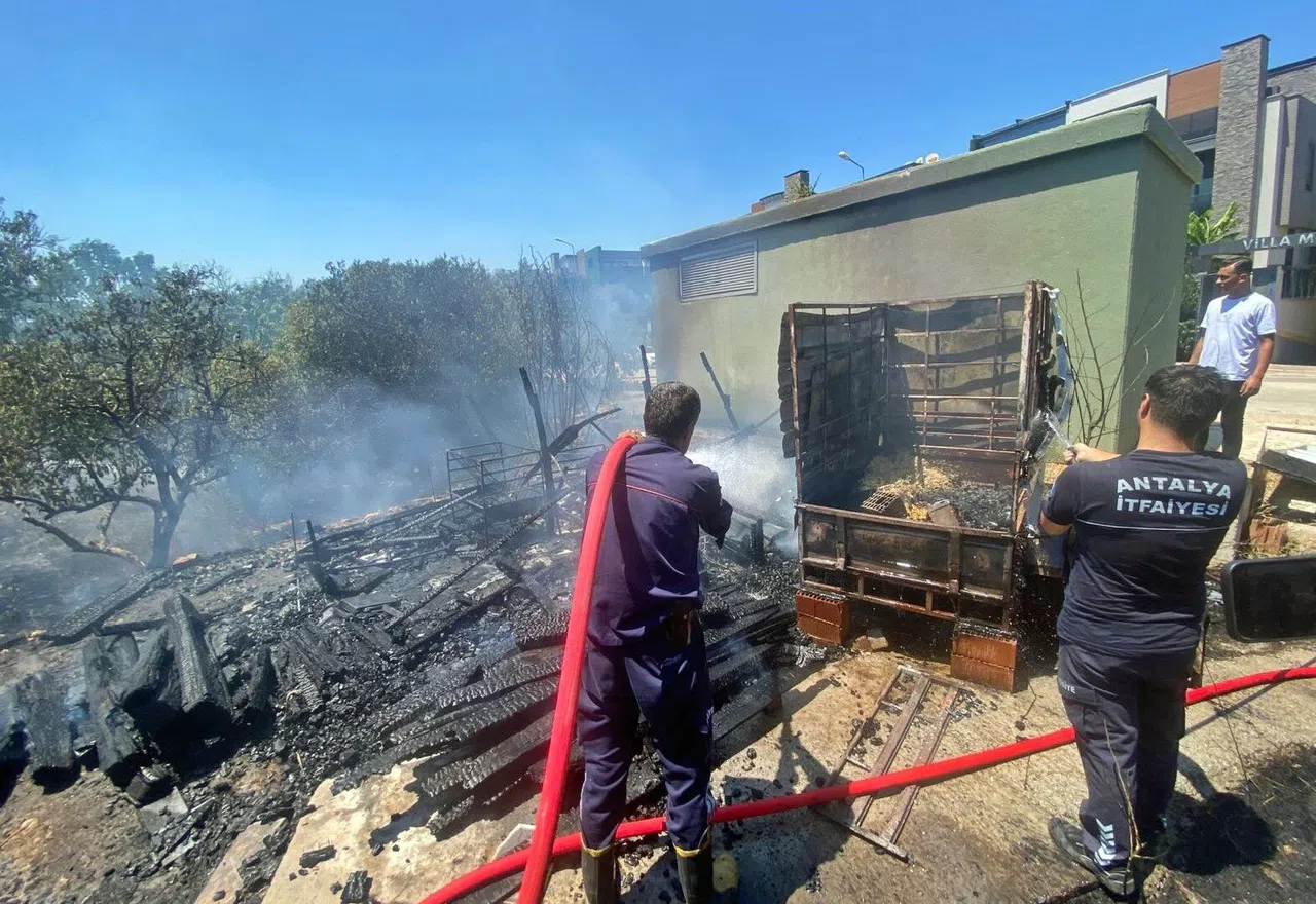 Lüks Villalara Yakın Noktada Çıkan Yangın Korkuttu
