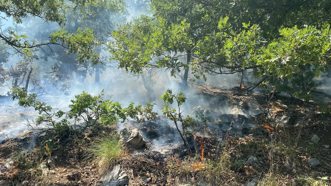 Orman Yangını: Ekipler Seferber Oldu