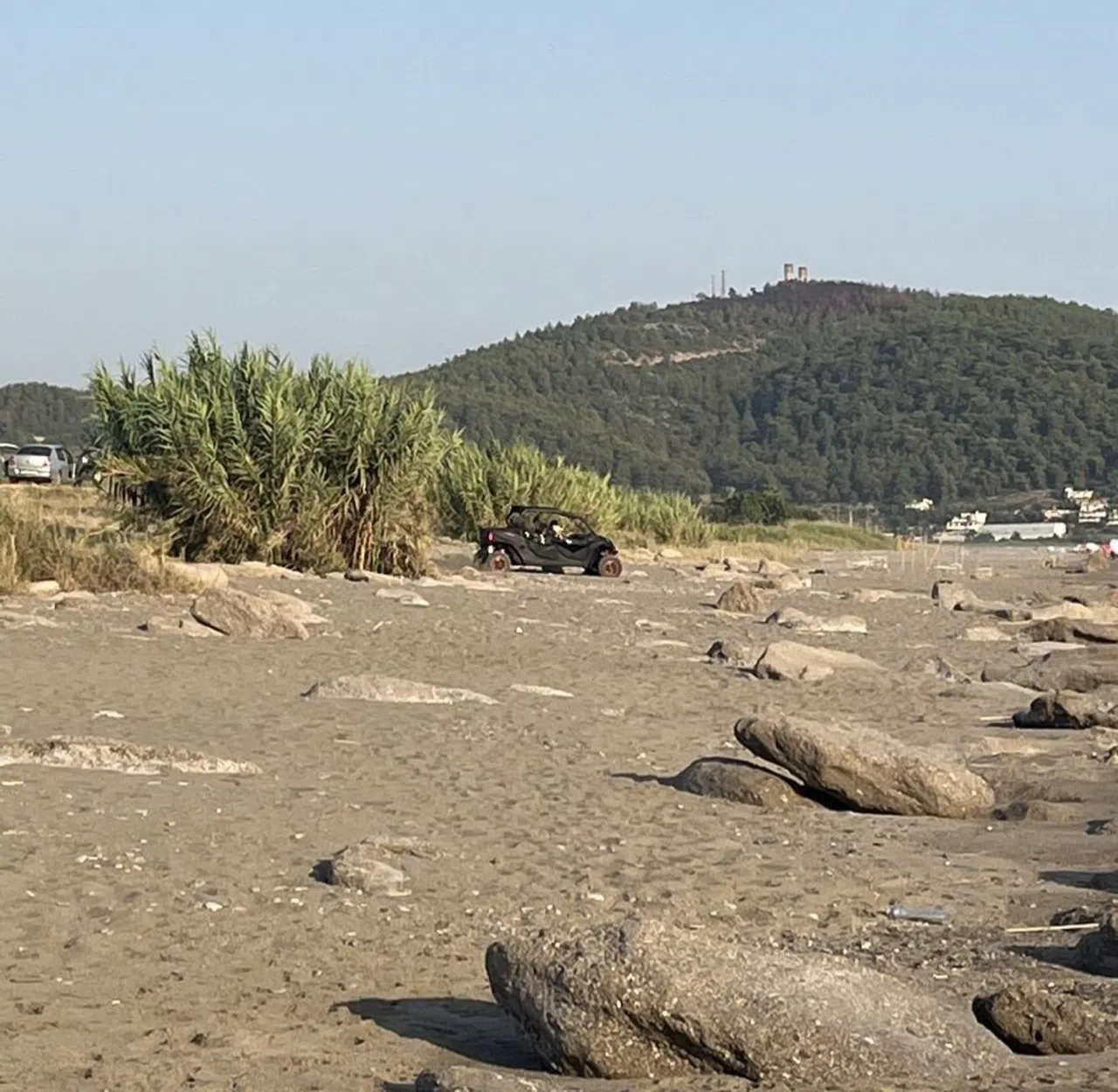 Caretta Caretta Yuvaları Zarar Gördü