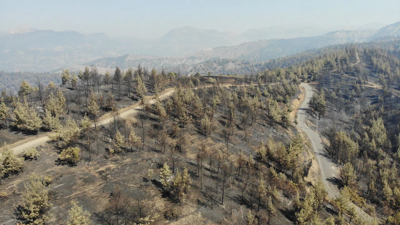 Kahramanmaraş'ta Yangın Sonrası Küle Dönen Ormanlık Alan Dronla Görüntülendi