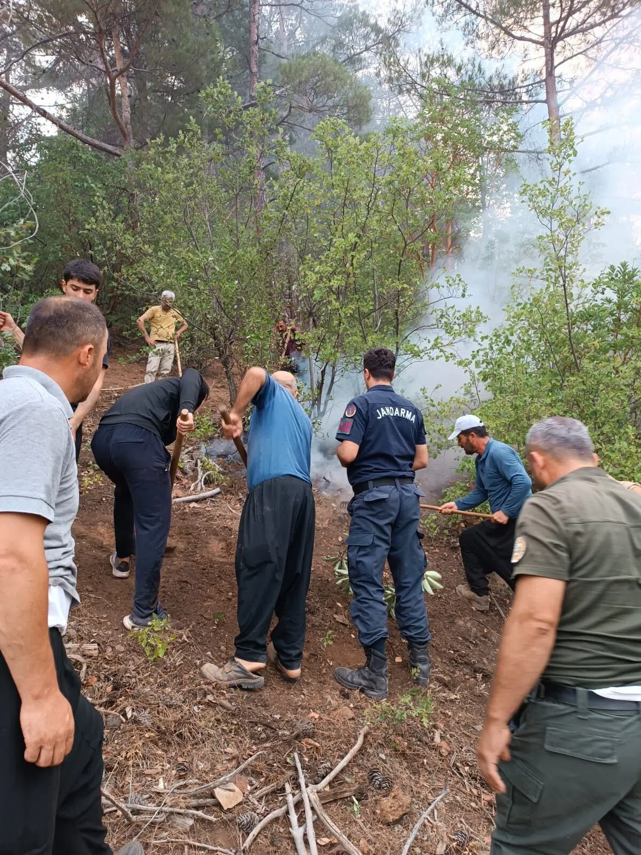 Orman Yangını Kontrol Altına Alındı