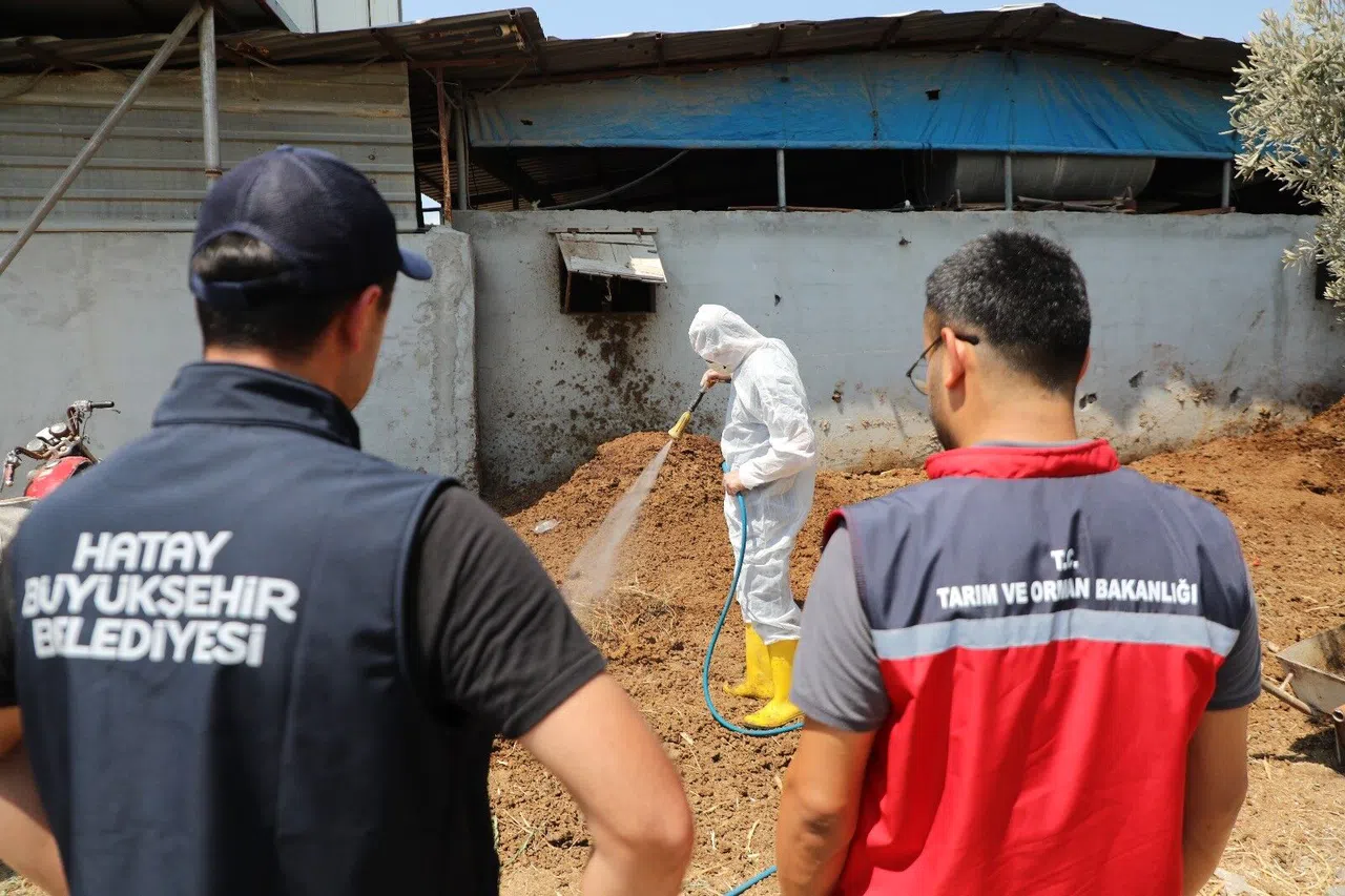 Meyve Sineğiyle Mücadele Sürüyor