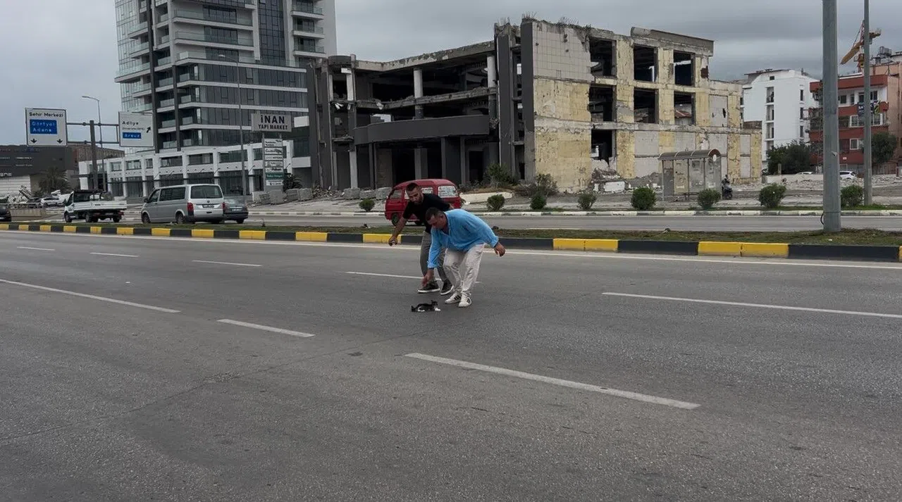 Akan Trafikte Çaresizce Bekleyen Yavru Kediyi Kurtardı
