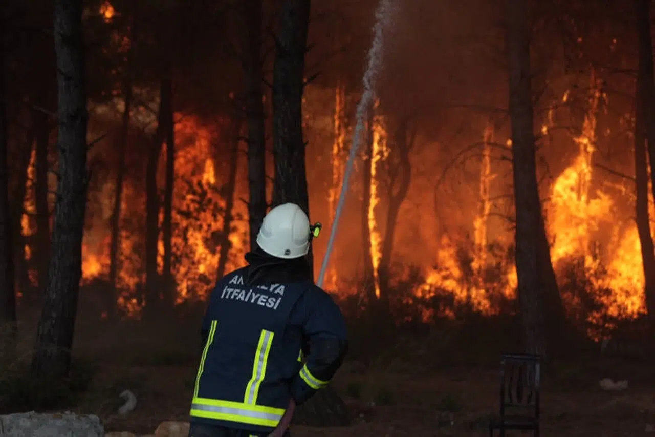 4 farklı noktada orman yangını çıktı
