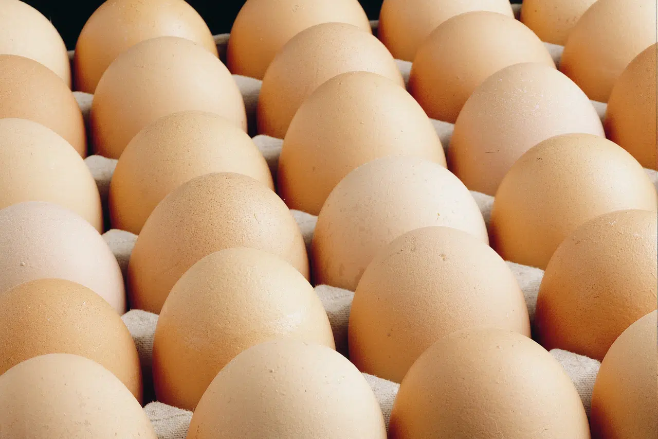 A sınıfı yumurtalarda 'tüketim tarihi' zorunluluğu... Türk Gıda Kodeksi Yumurta Tebliği'nde değişiklik