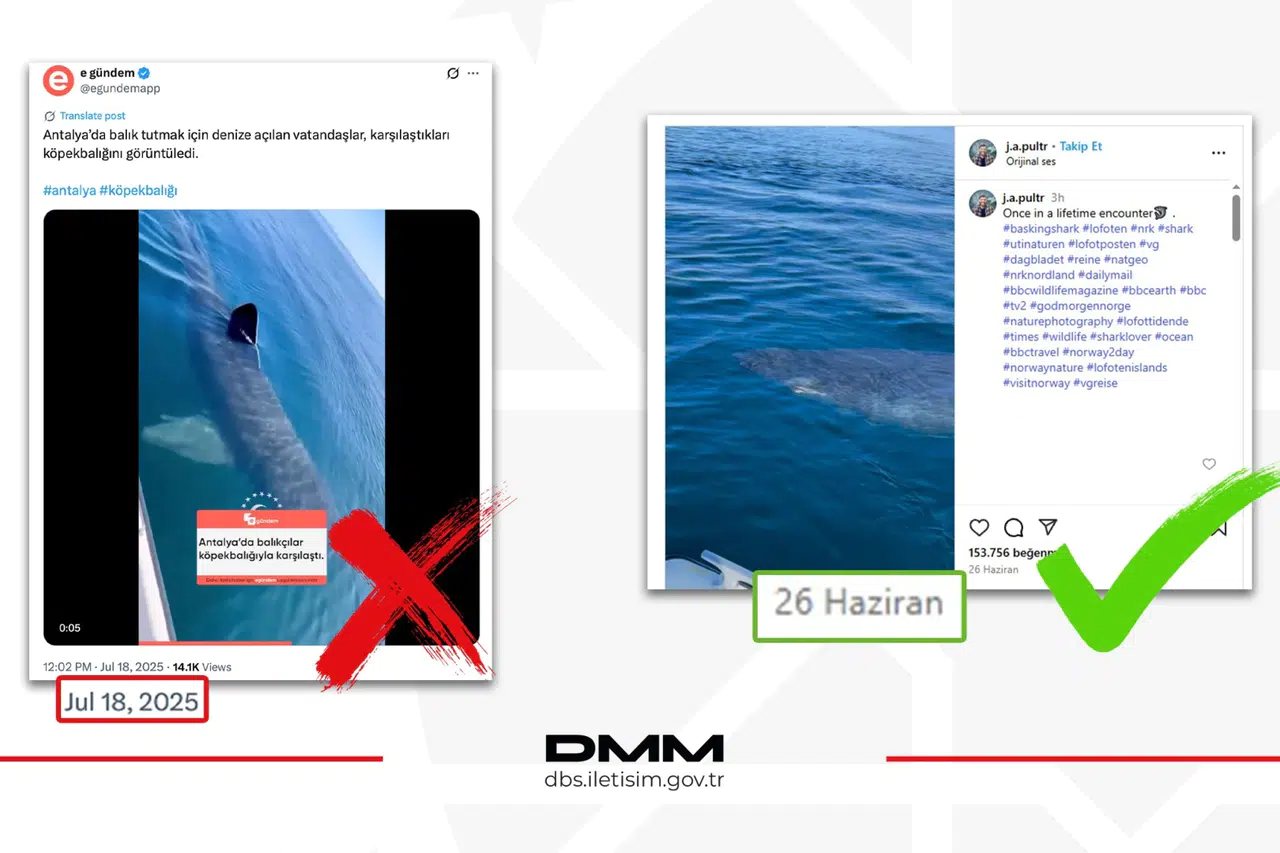 Antalya’da köpekbalığı iddiası dezenformasyon çıktı... DMM: O video Norveç’ten!