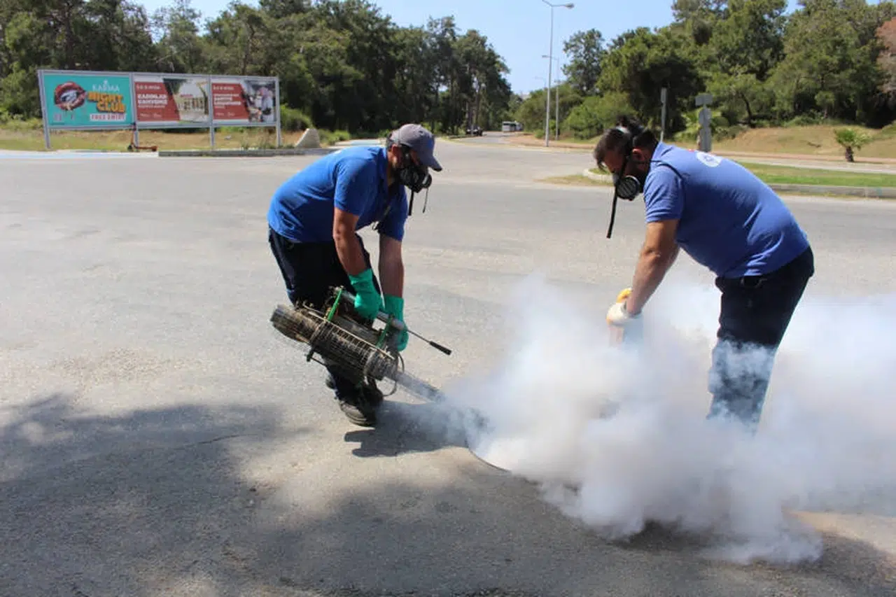 Antalya’nın tüm ilçelerinde haşereyle mücadele sürüyor