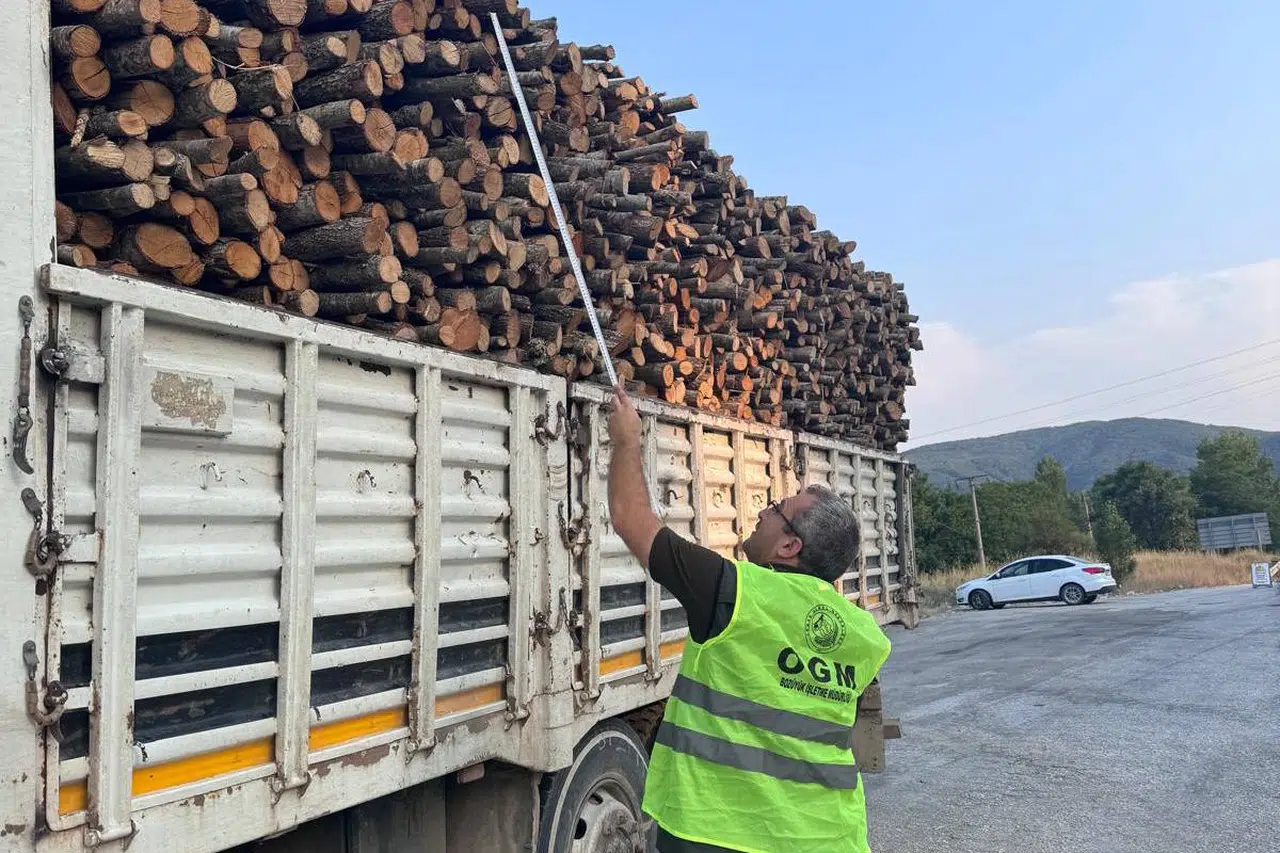 Bilecik Pazaryeri’nde orman emvali denetimi