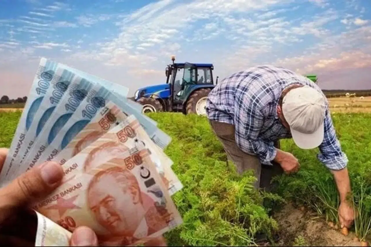 Çiftçilere 865 milyon TL'lik destek ödemesi hesaplarda