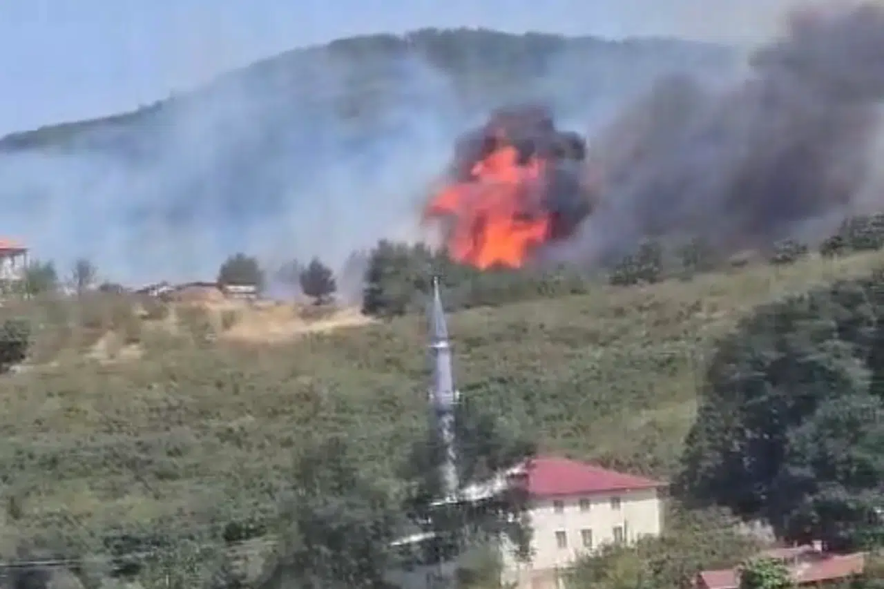 Düzce-Sakarya sınırında orman yangını