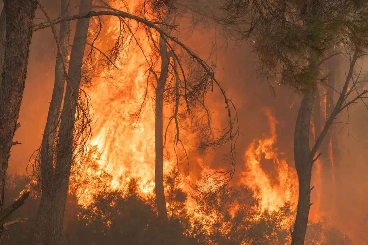 Gaziemir'deki yangın kontrol altına alınıyor