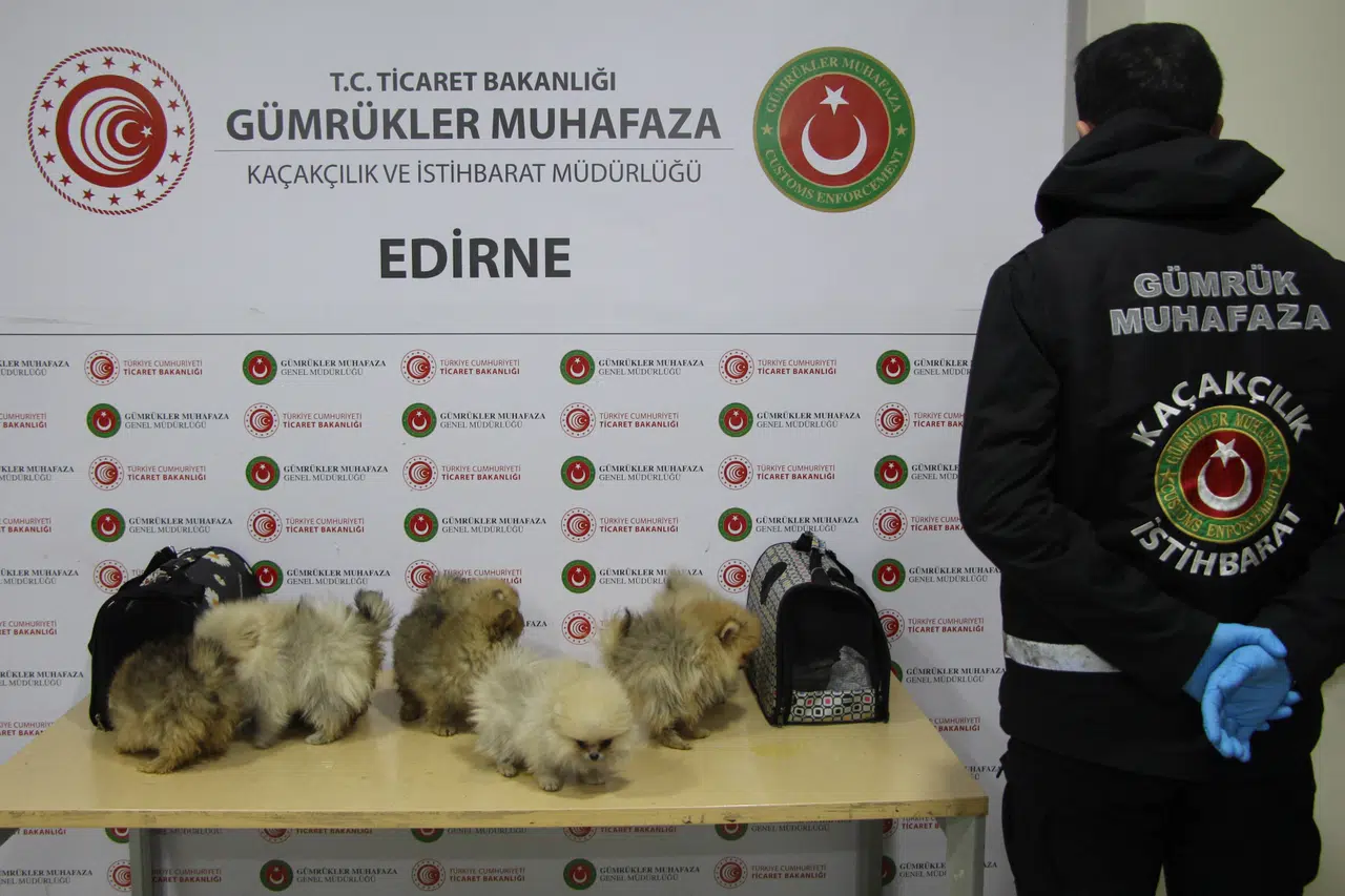 Gümrüklerde yılın ilk yarısında 35,5 milyar TL'lik kaçak eşya yakalandı