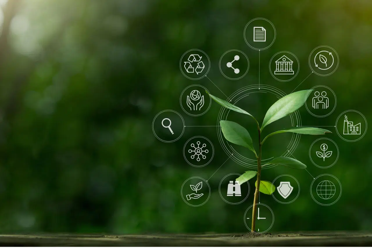 İklim Kanunu 'Resmi'leşti... İklim değişikliğiyle mücadelede yeni dönem