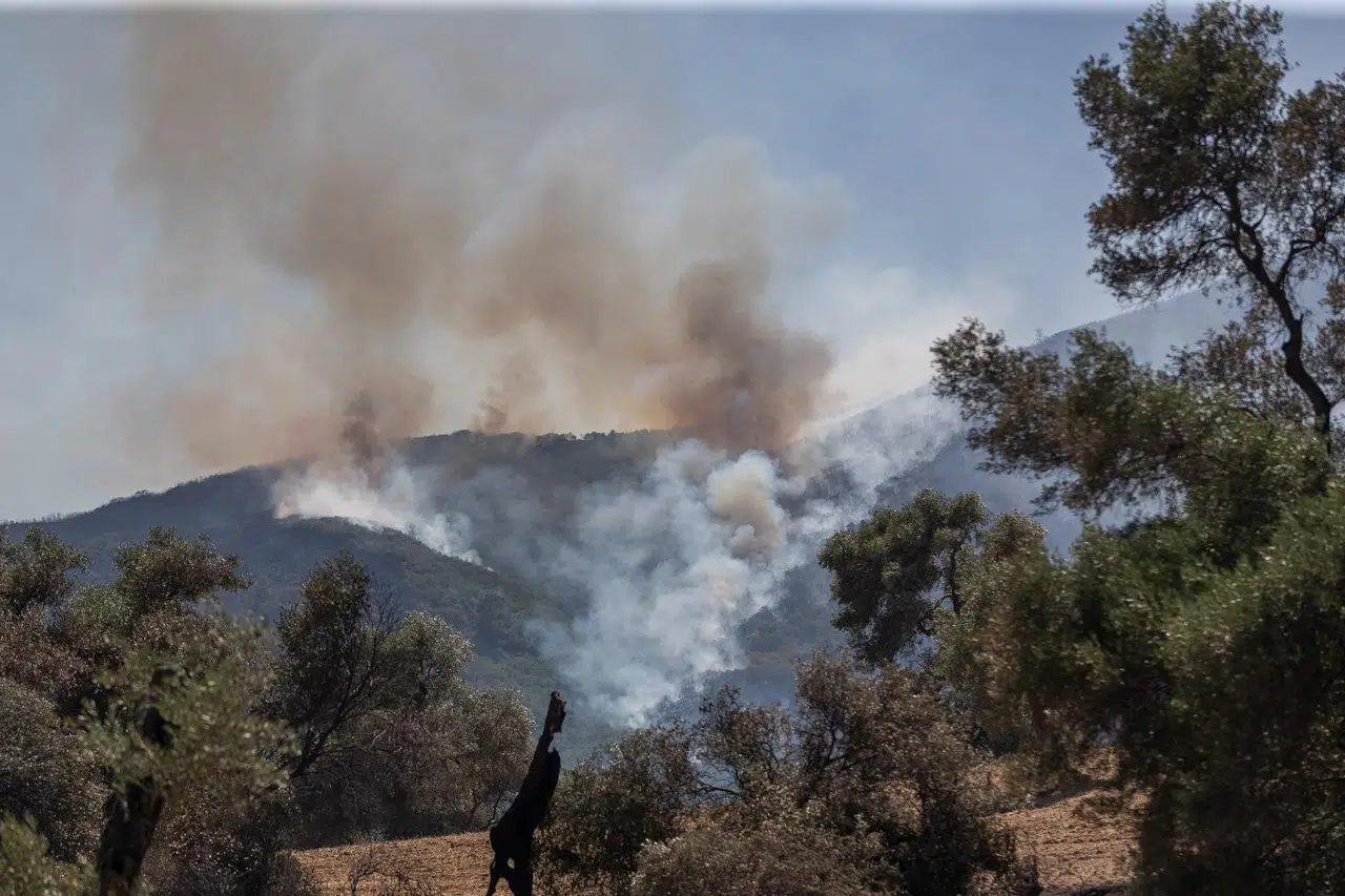 Orman yangını risk haritası hazır