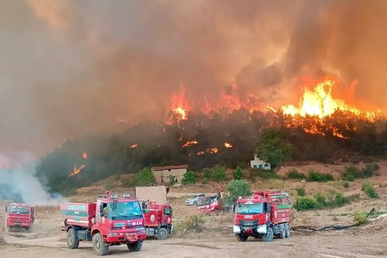 Orman'da 10 acı kayıp! 7 yangın sürüyor!