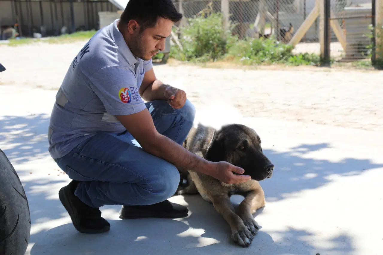 'Satın alma sahiplen' çağrısı