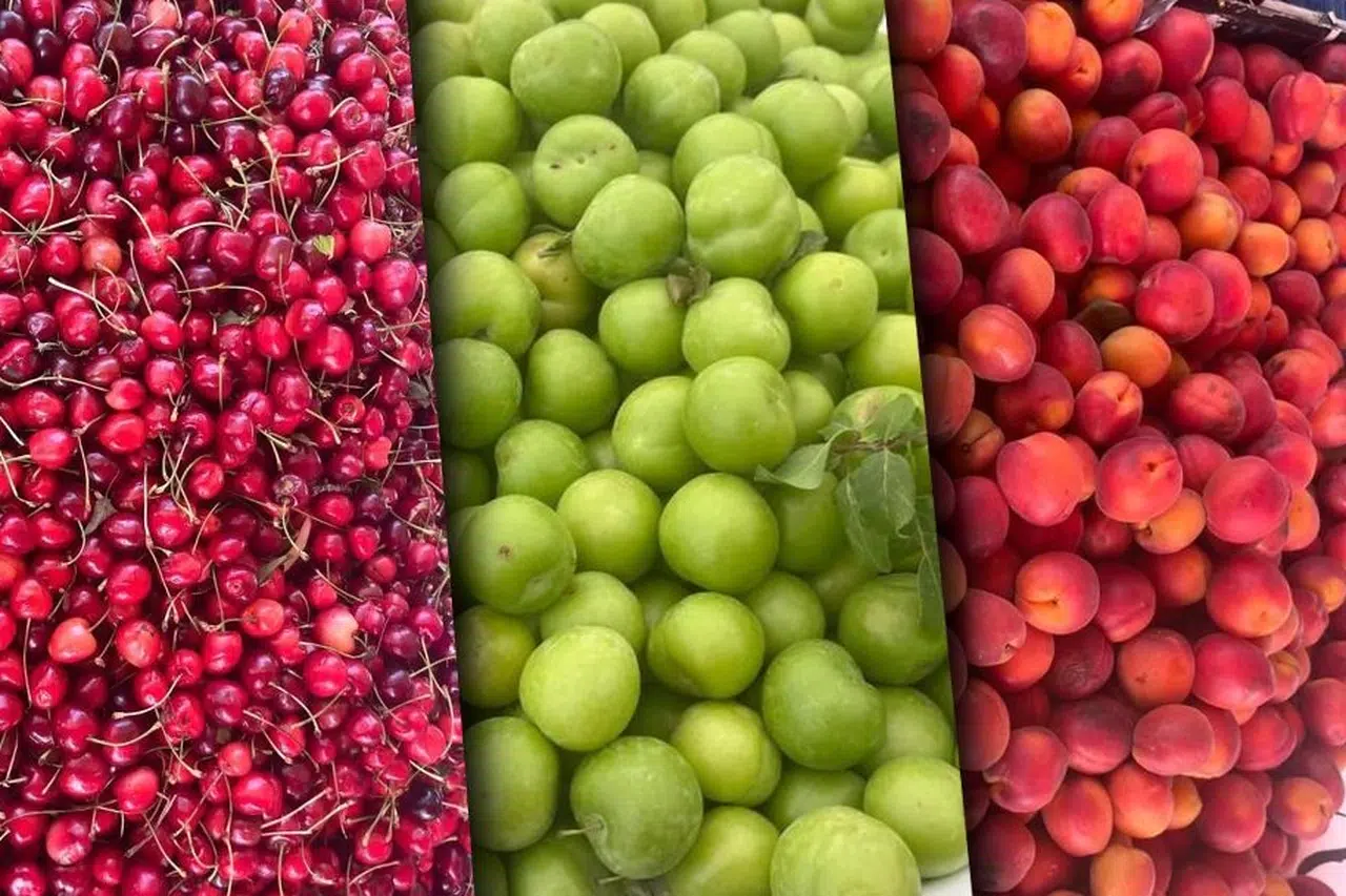 Sert ve yumuşak çekirdekli meyveler zirvede