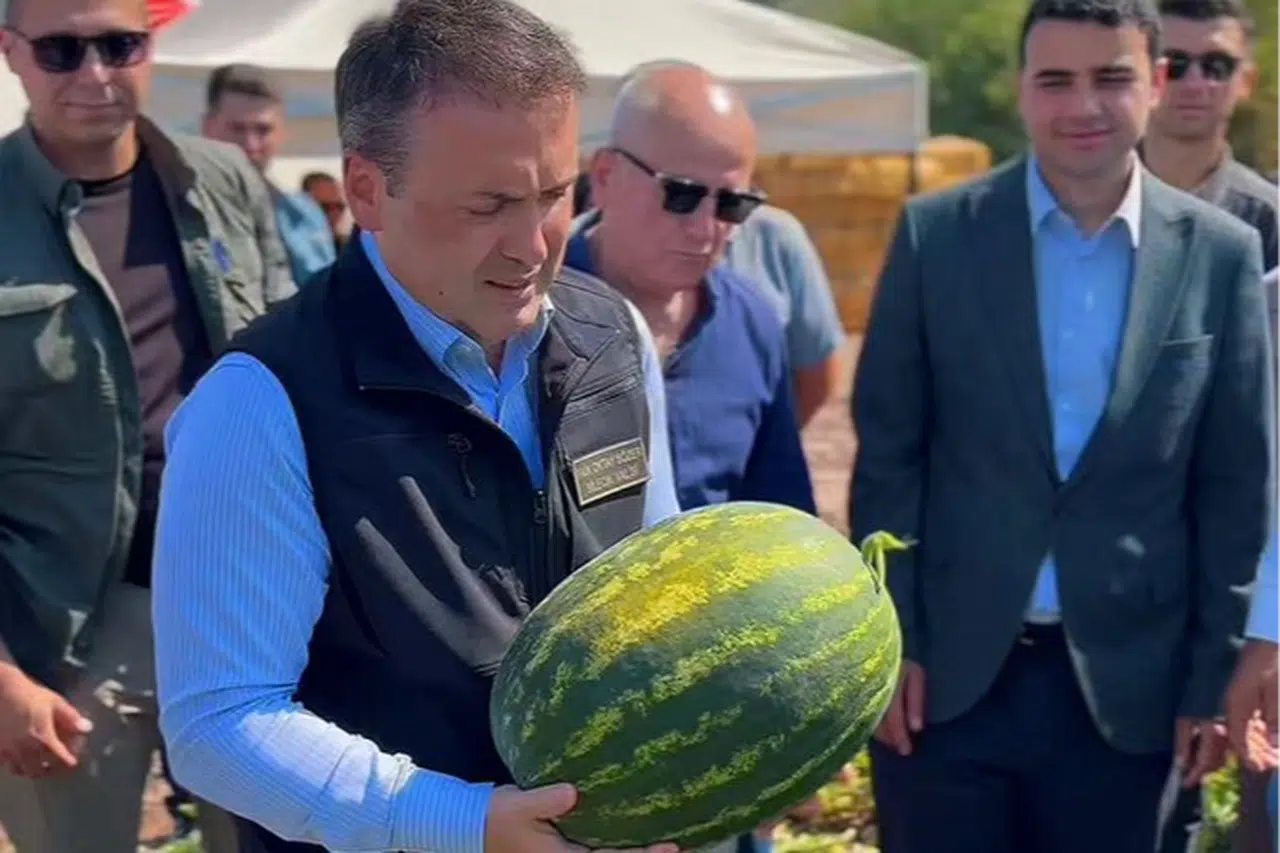 Tarım Kredi, Bilecik'in afet bölgesindeki üreticiden 6 bin ton karpuz alacak