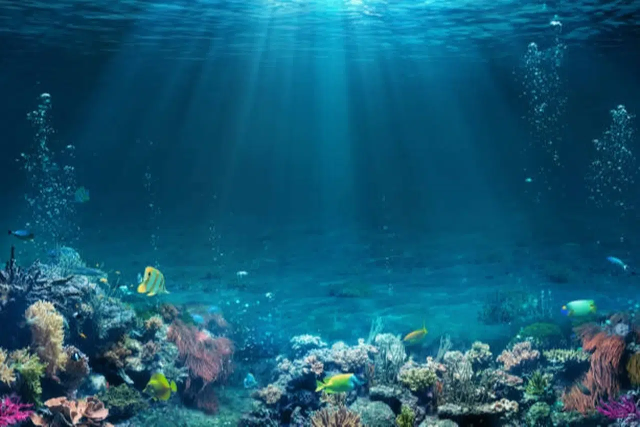 Türkiye’nin ilk dijital su altı haritası hazırlanıyor