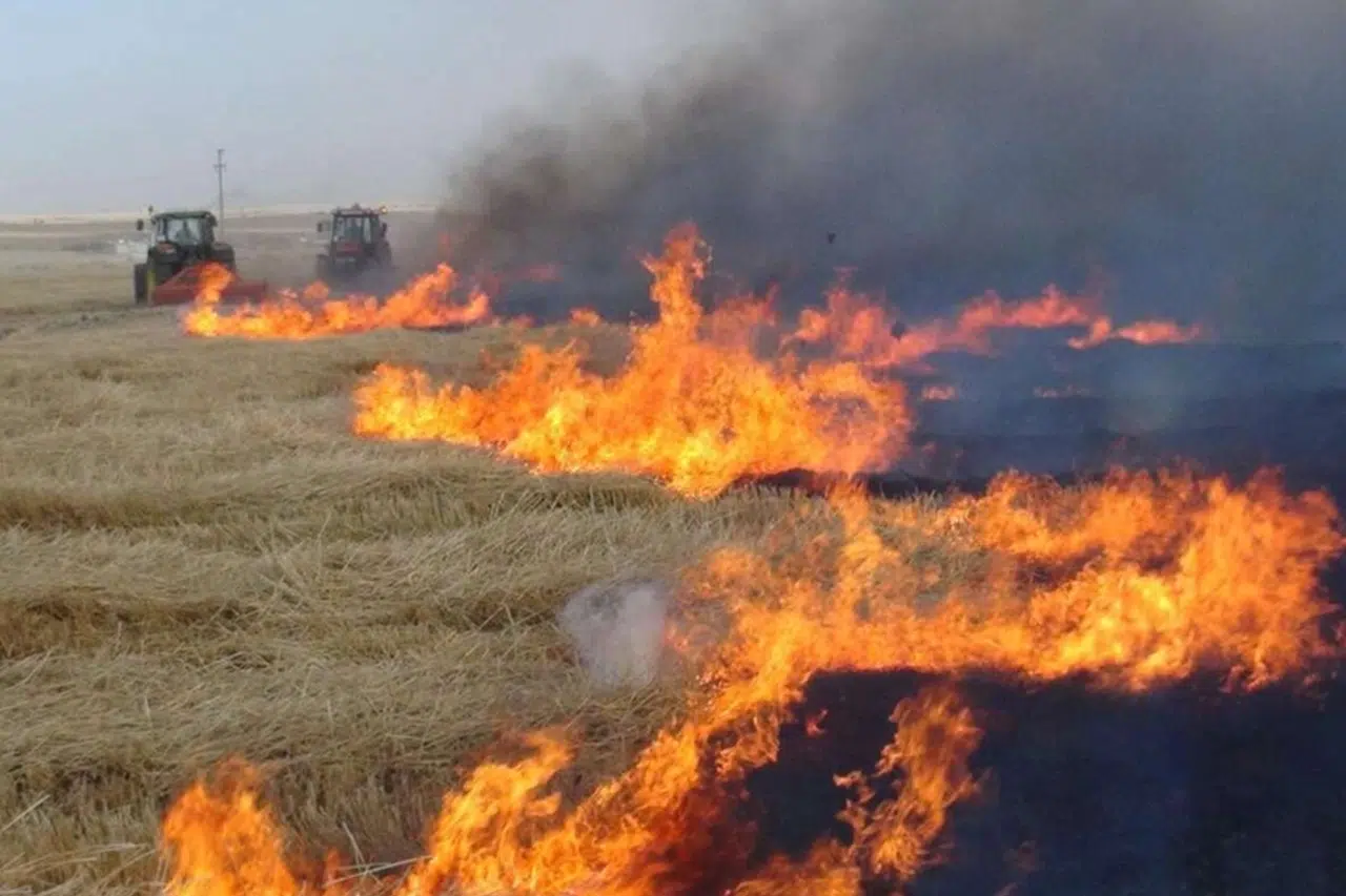 TZOB'dan yangın ve anız uyarısı!