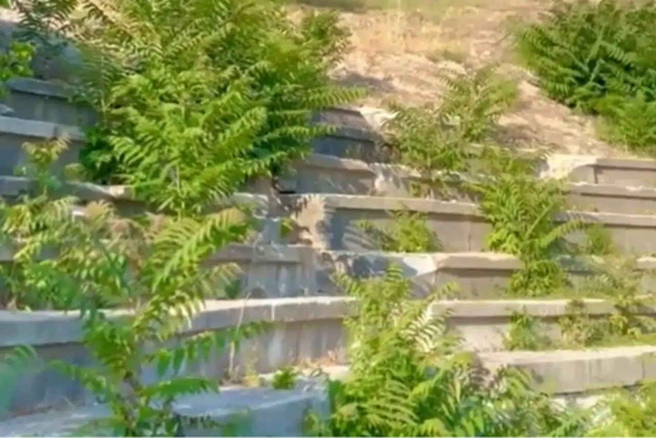 Vize Antik Kenti ilgisizlikle yok oluyor! Tarihi miras için acil çağrı!