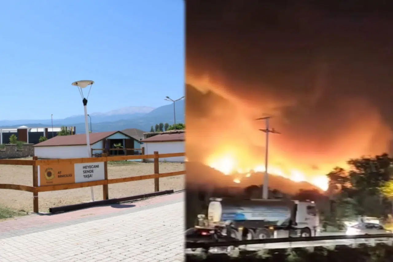 Yangından etkilenen hayvanlara el açtılar