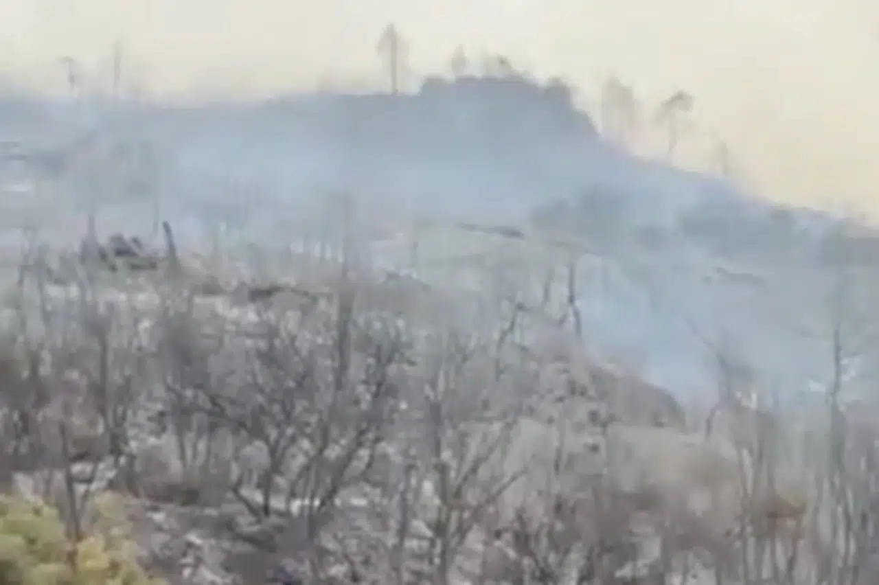 Yangınlarda son durumu bildirdi