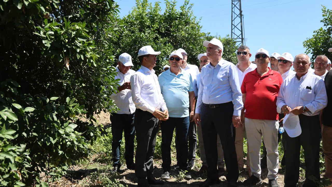 Tarımda Nüfus Yaşlanıyor