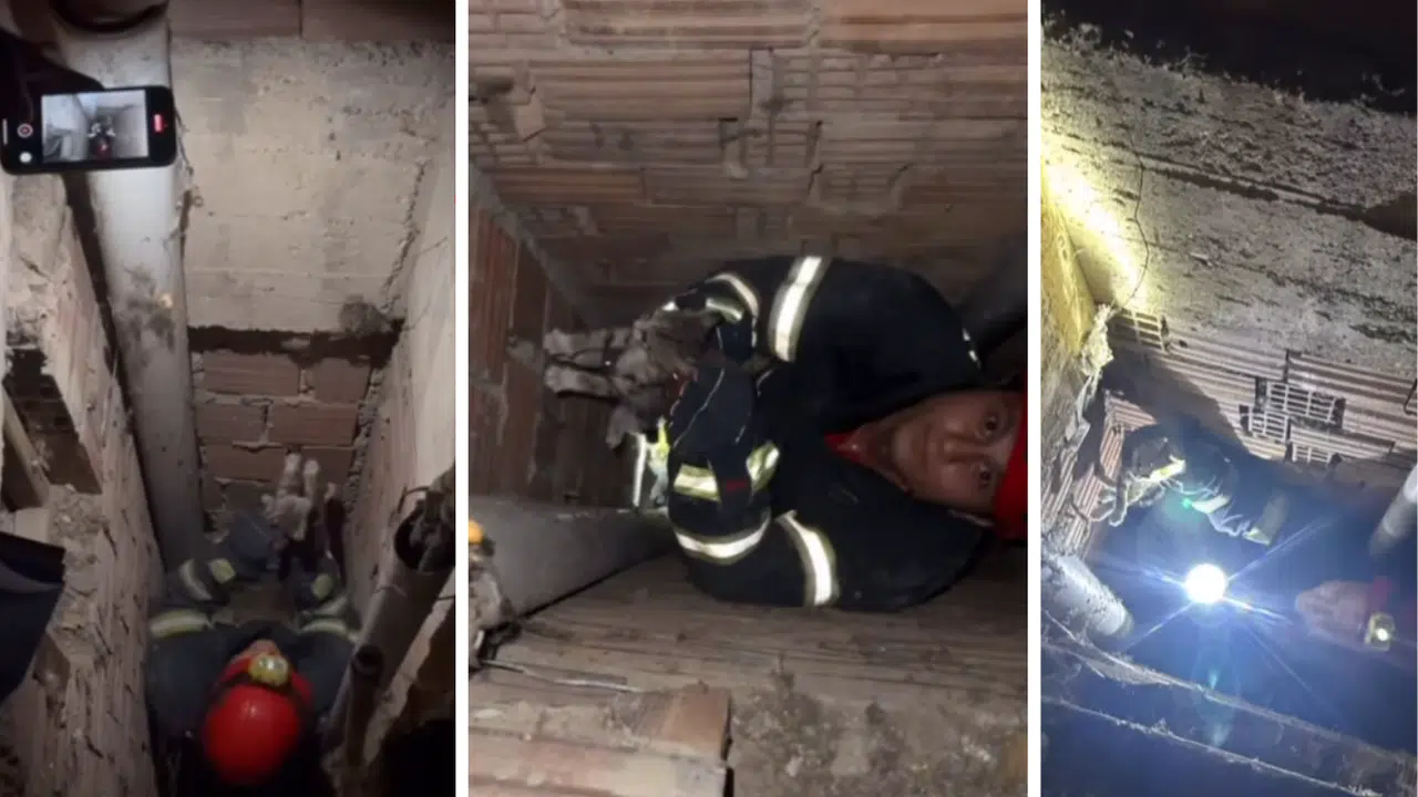 Kahramanmaraş’ta Minik Bir Can Kurtarıldı