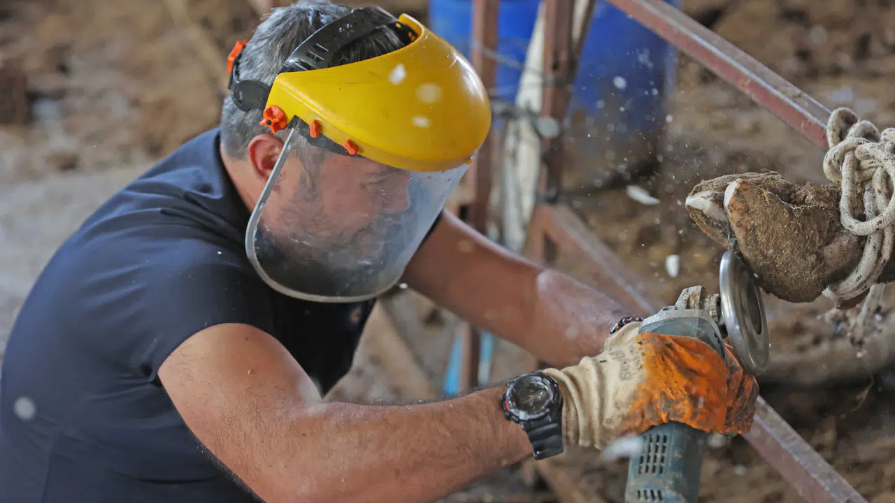 Kırsaldaki Besicilere Veterinerlik Hizmeti
