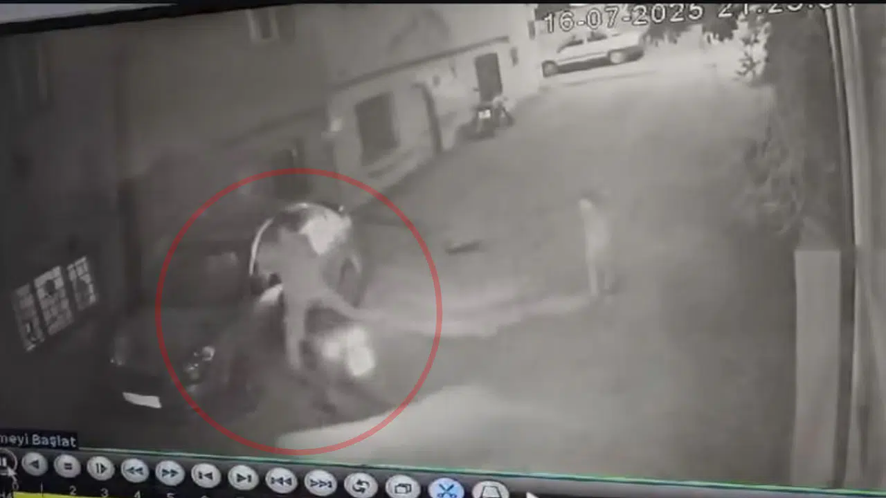 Kahramanmaraş'ta Gece Yarısı Kaza: Motosikletli Çarptı, Kaçtı!