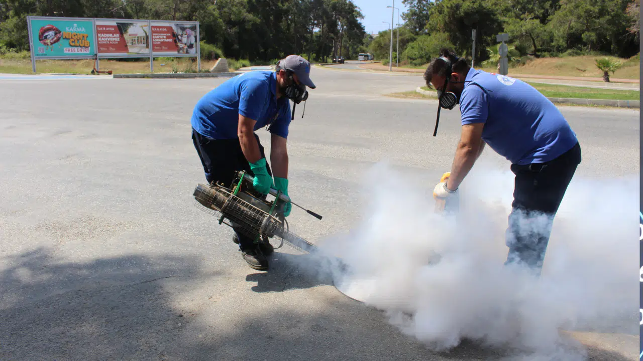 İstilacı Tür Olarak Biliniyor, Yumurtaları Altı Ay Kuraklığa Dayanabiliyor