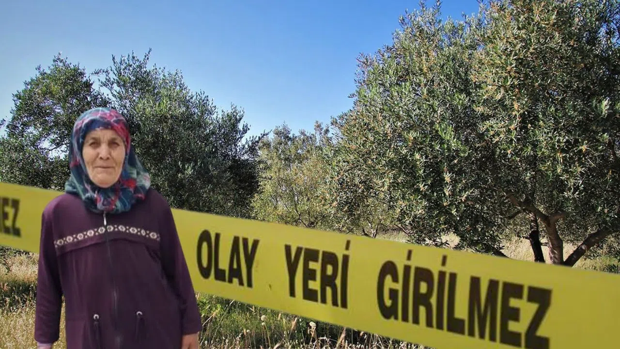 Kahramanmaraş’ta Yaşlı Kadın Zeytinlikte Ölü Bulundu