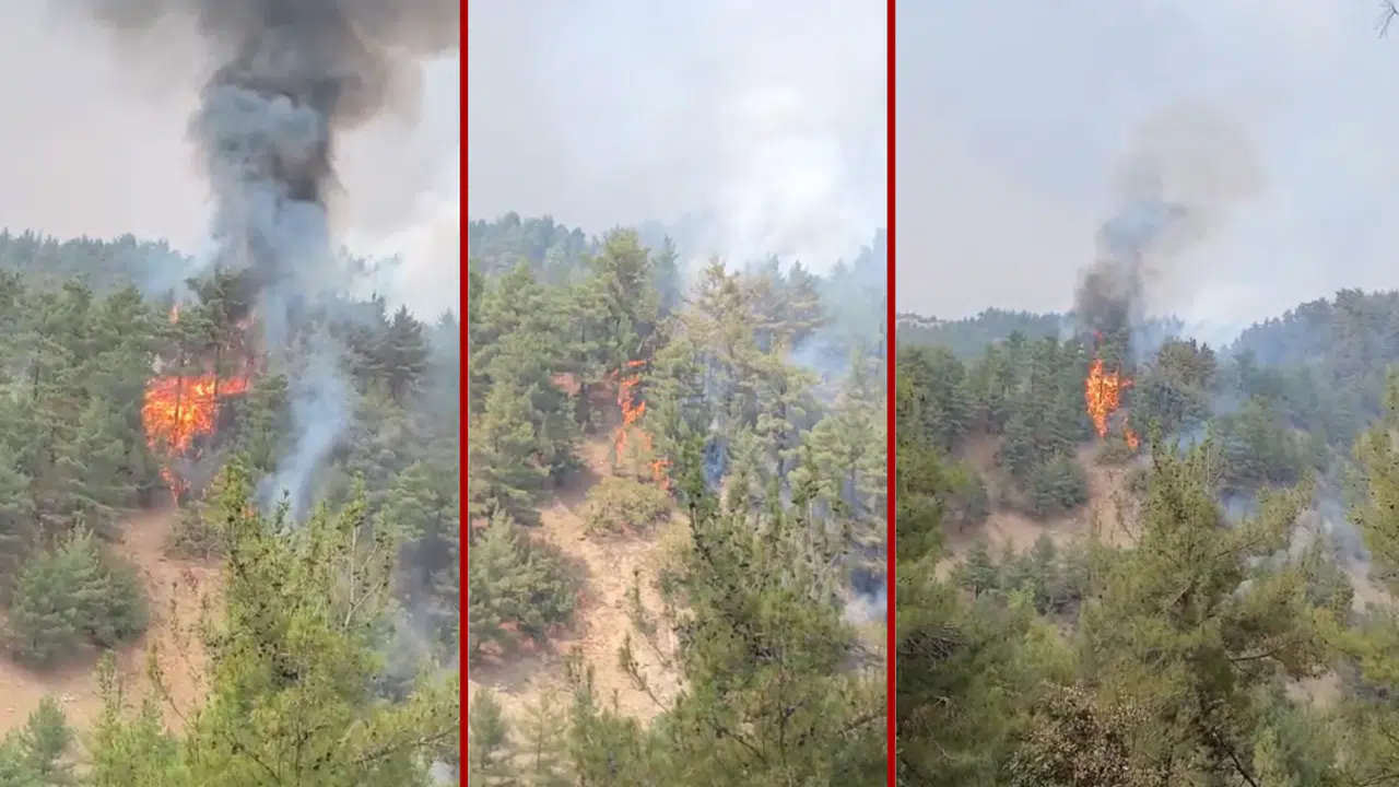 Kahramanmaraş Çamlıbel’de Yangın Devam Ediyor