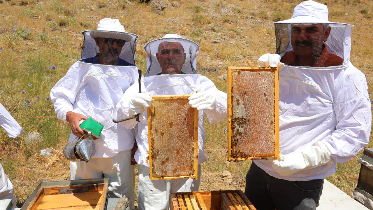 Kahramanmaraş'taki Engizek Yaylası'nda Bal Mesaisi