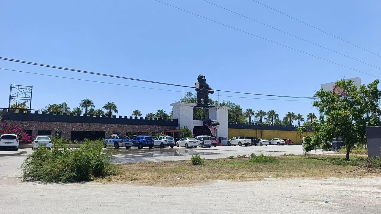 Aslanın Kaçtığı Hayvanat Bahçesi Yapılacak Denetime Kadar Mühürlendi