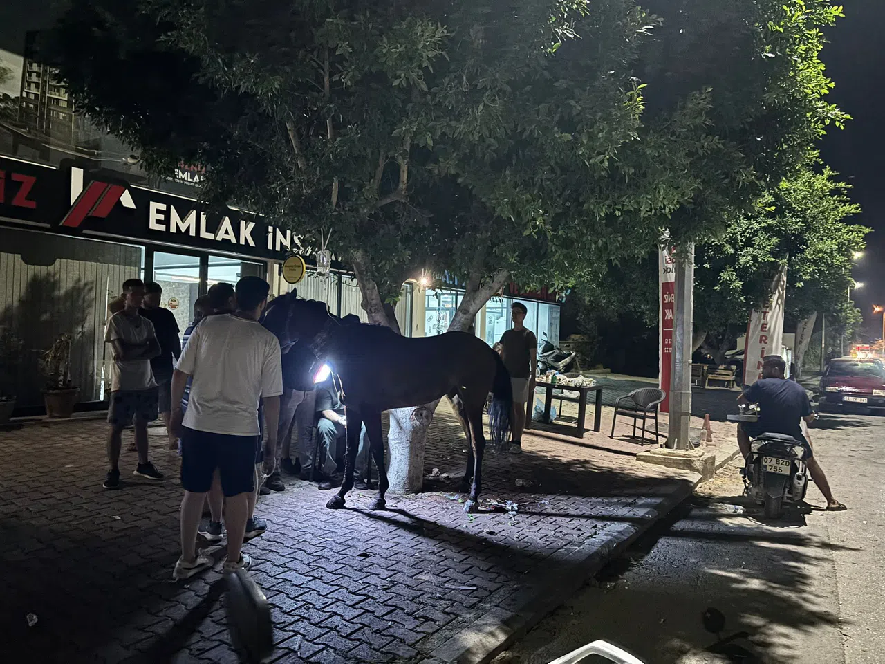 Başıboş gezen at kazaya neden oldu: 3 kişi yaralandı