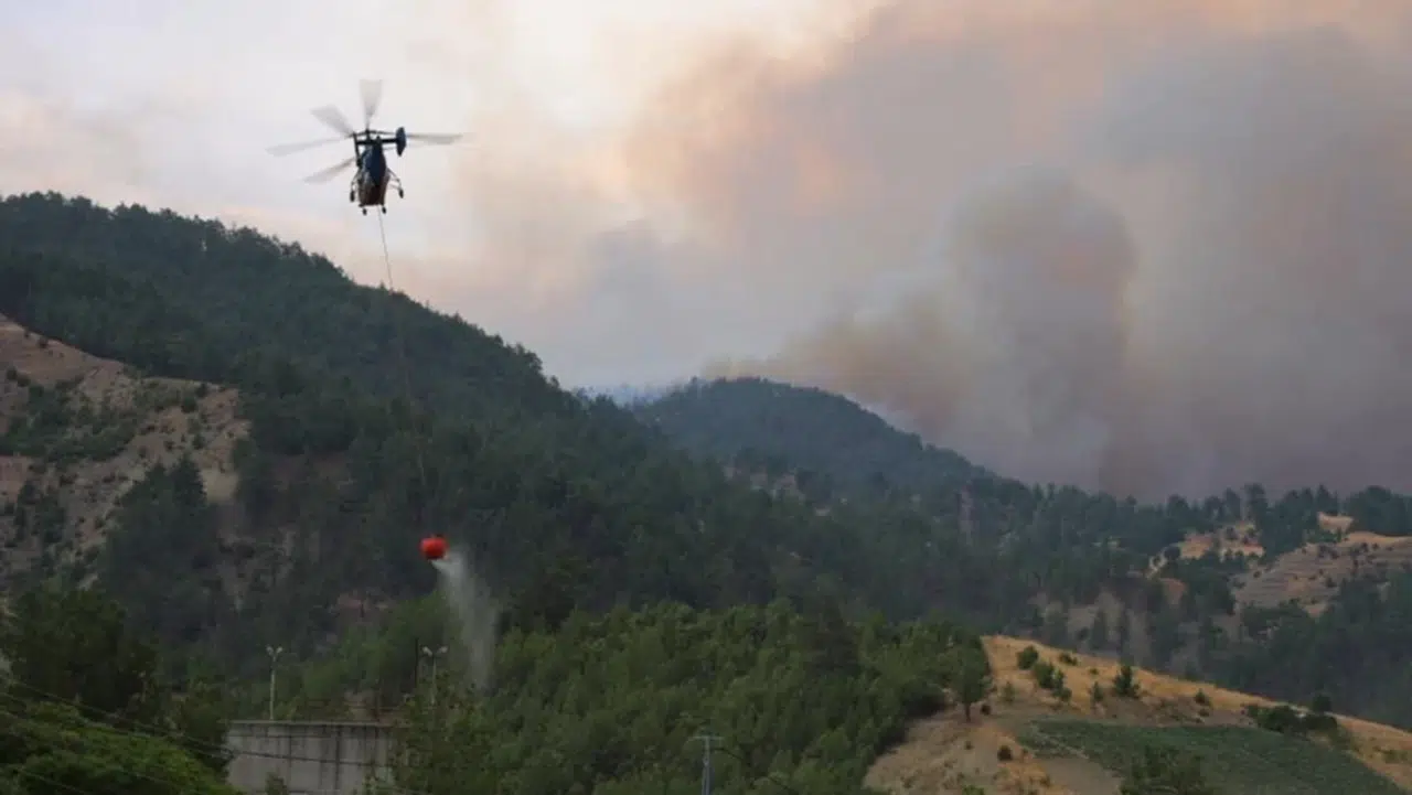 Kahramanmaraş’ta 3 Gündür Süren Orman Yangını Kontrol Altına Alındı
